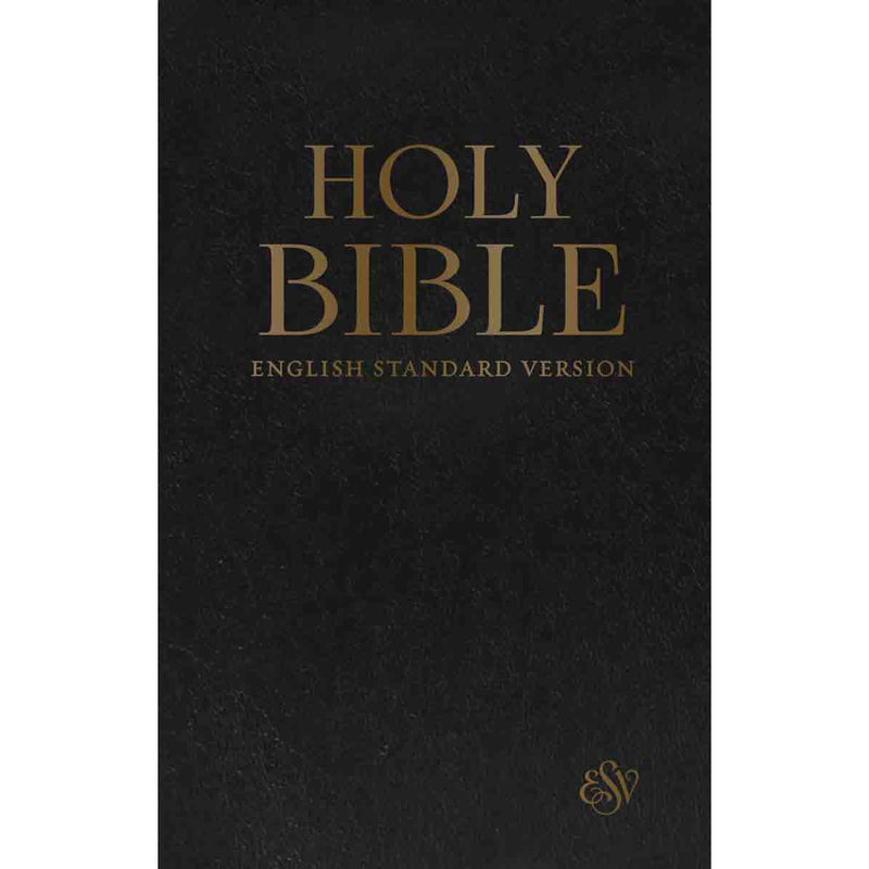 Holy Bible (Black)