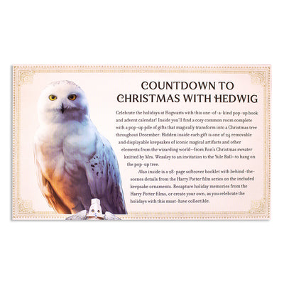 Harry Potter: Hedwig Pop-Up Advent Calendar