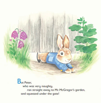 The Tale Of Peter Rabbit