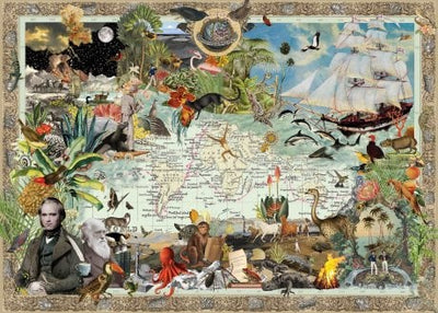 Charles Darwins Voyage 1000 Piece Jigsaw Puzzle