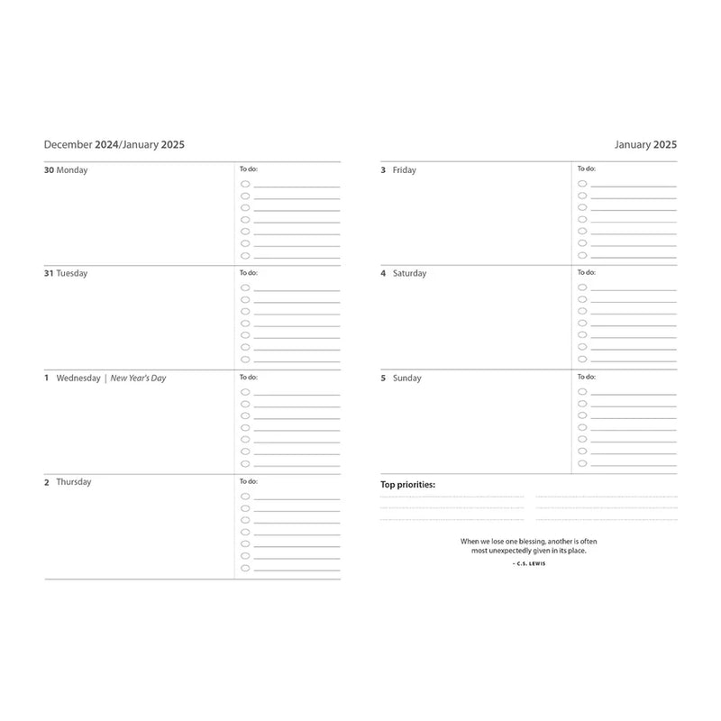 A5 Daily Planner 2025 Abstract David