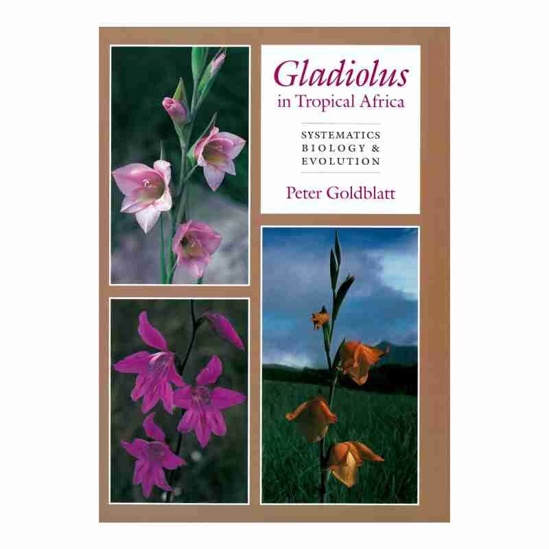 Gladiolus in Tropical Africa