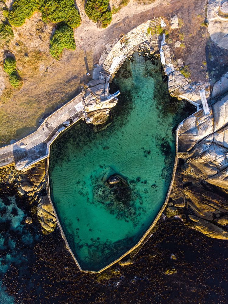 A Guide to Tidal Pools of the Western Cape