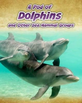 A Pod Of Dolphins - Readers Warehouse